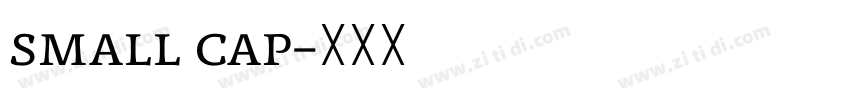 small cap字体转换
